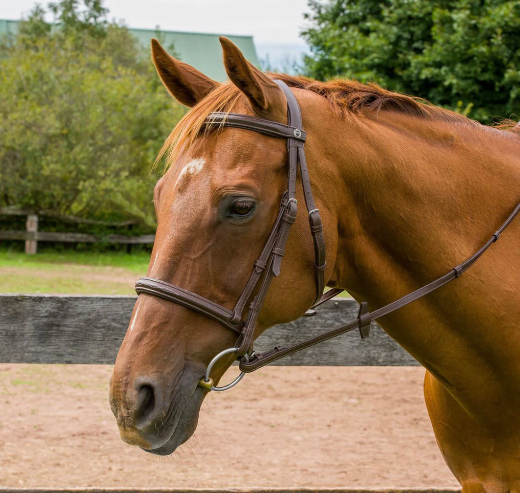HENRI DE RIVEL KUSHY RAISED FANCY STITCHED BRIDLE