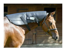 Pulsed electromagnetic field devices for horses - Full equine PEMF package: Blanket,  Neck wrap, shoulder, Rear leg wrap, Front leg wrap