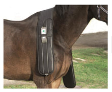 Pulsed electromagnetic field devices for horses - Full equine PEMF package: Blanket,  Neck wrap, shoulder, Rear leg wrap, Front leg wrap