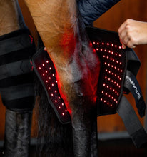 Horseware® LED Red Light Therapy Hock Boots