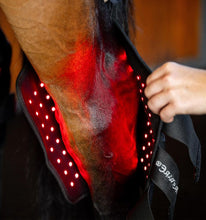 Horseware® LED Red Light Therapy Hock Boots