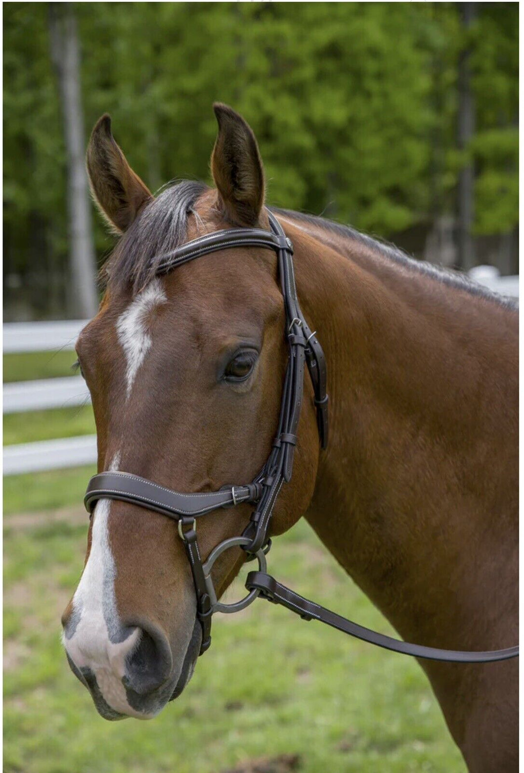 HENRI DE RIVEL PRO ANATOMICAL BRIDLE HAVANA
