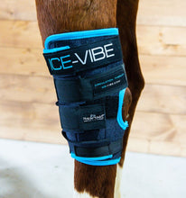 Horseware Ireland Icevibe hock wraps