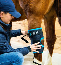 Horseware Ireland Icevibe hock wraps
