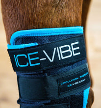 Horseware Ireland Icevibe hock wraps