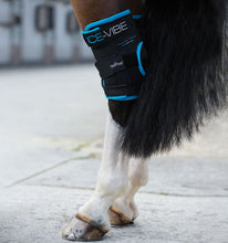 Horseware Ireland Icevibe hock wraps