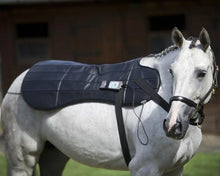 Pulsed electromagnetic field devices for horses - Full equine PEMF package: Blanket,  Neck wrap, shoulder, Rear leg wrap, Front leg wrap