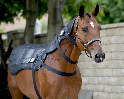 Pulsed electromagnetic field devices for horses - Full equine PEMF package: Blanket,  Neck wrap, Rear leg wrap, Front leg wrap