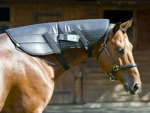 PEMF WRAP FOR NECK Pulsed Electromagnetic Field Therapy for Horses