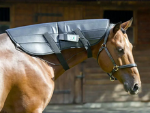 PEMF Back Pad & Neck Wrap Pole Pulsed Electromagnetic Field Therapy