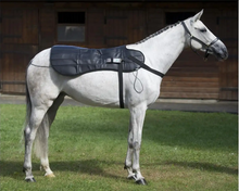 PEMF BLANKET Pulsed Electromagnetic Field Therapy for Horses